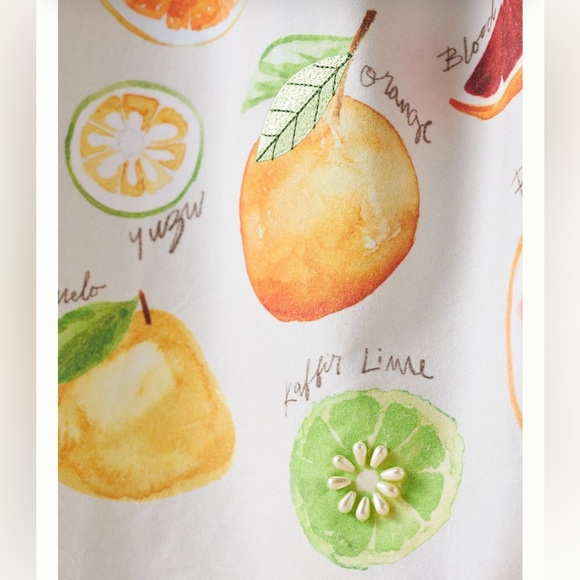 NWT Types of Citrus dish towel Fruit Print  Cotton Anthto - Picture 2 of 4